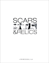 Scars and Relics